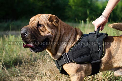 Brustgeschirr Hund wasserdicht für Sharpei