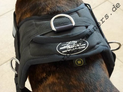 Hundegeschirr mit Handschlaufe fuer Boxer