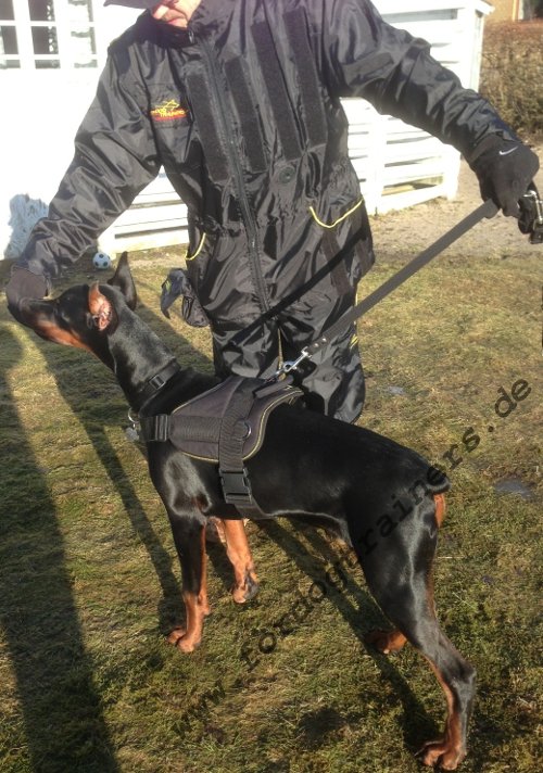 Hundegeschirr Schutz für Dobermann