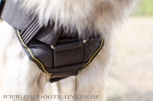 Tervueren Hundegeschirr Nylon