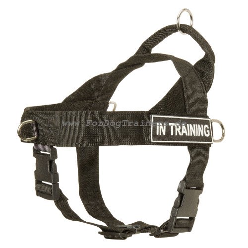 dog training harness with I.D. logos