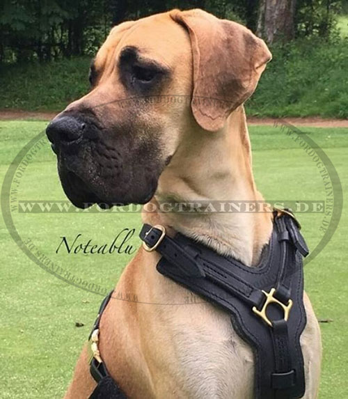 K9 Dog Harness for large Dogs