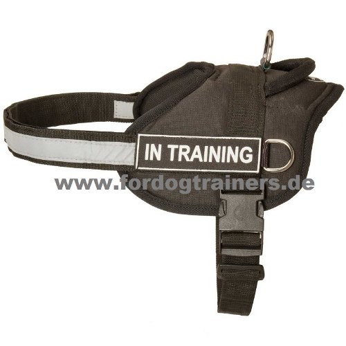 All weather harness