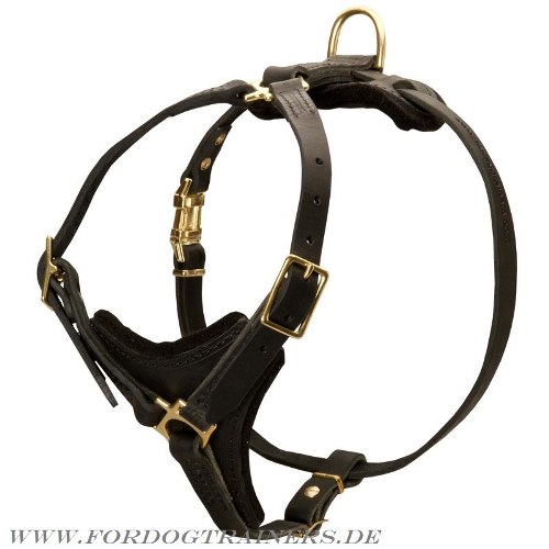 Leather dog harness for dog sport