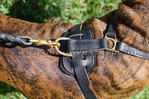 The Harness of Great Comfort for Boxer