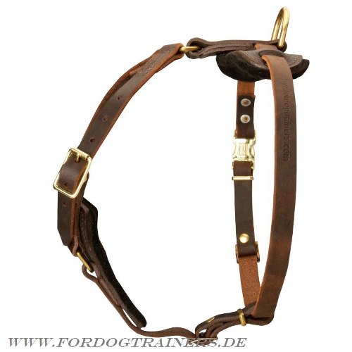 Schutzhund dog harness for Tervuren buy