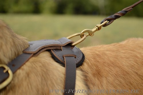 Leder Hundegeschirr für Tervueren