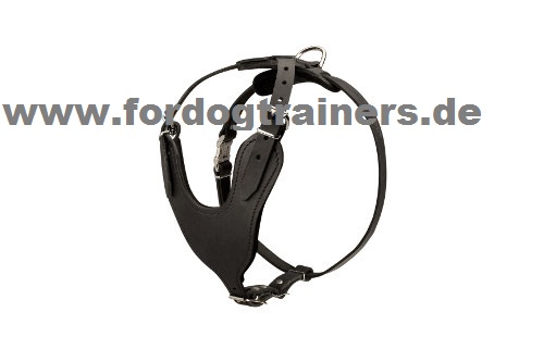 Harness from leather