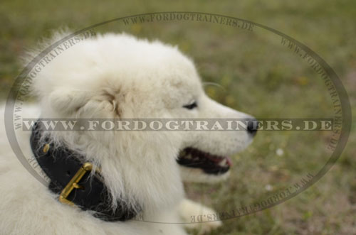 Handverziertes elegantes Leder Hundehalsband