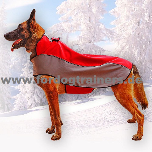 Coat for Malinois