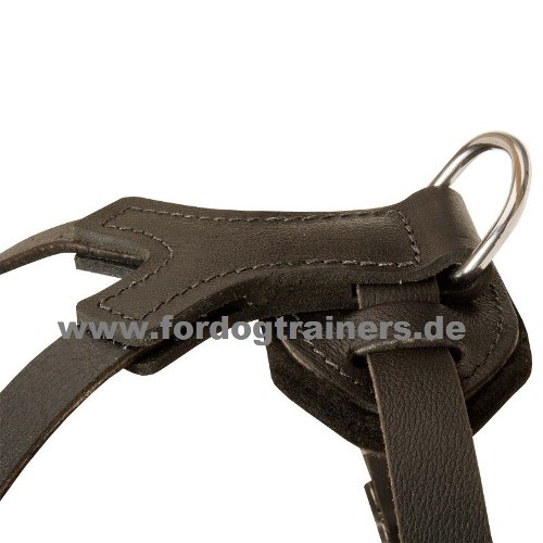 Chest harness Laika adjustable