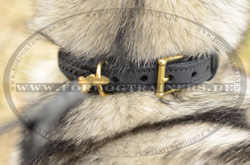 Geflochtenes Leder Hundehalsband für Alaskan Malamute