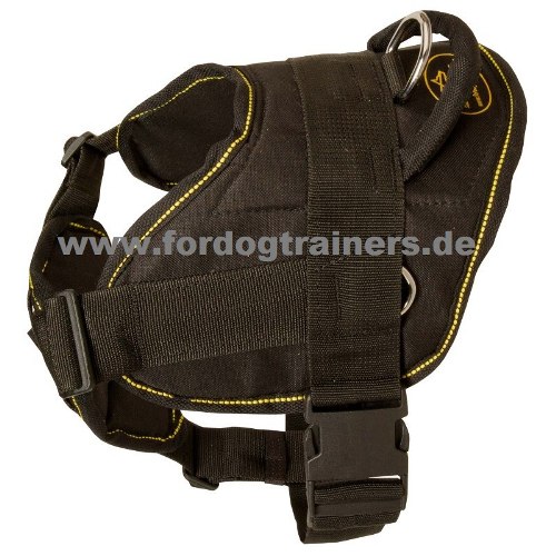 Chest harness for dog sport