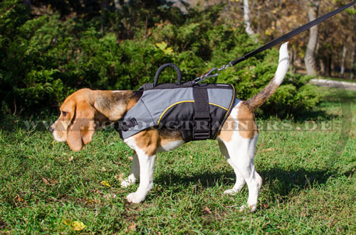 Bequemes Nylon Geschirr für Beagle