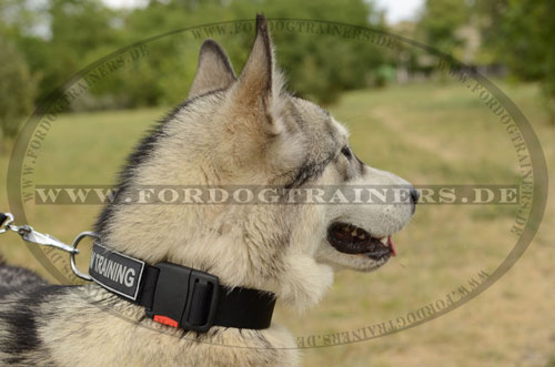 Alaskan Malamute Nylon Hundehalsband mit
Logos