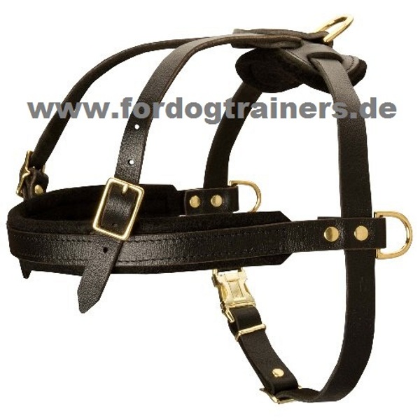 Pulling dog harness buy