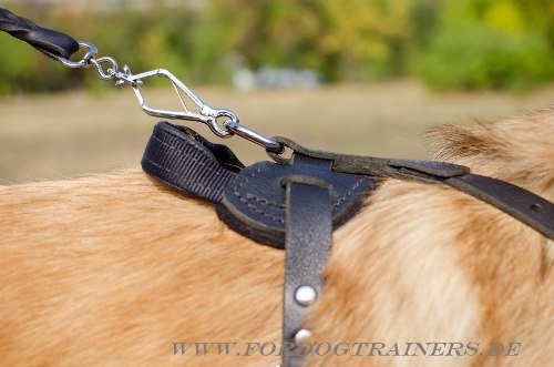 Tervueren Hundegeschirr kaufen