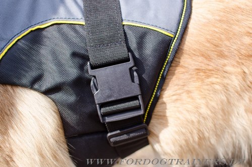 Tervuren Warm Dog Vest buy