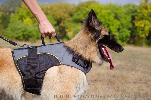 Adjustable dog harness for Tervuren