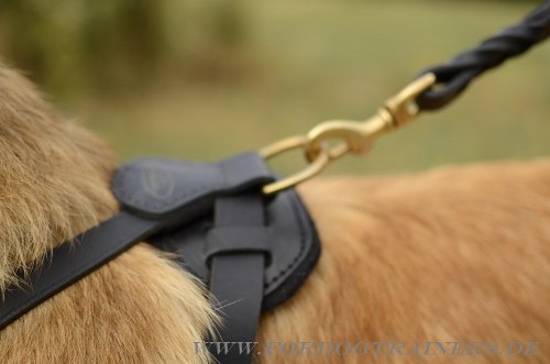 Zuggeschirr Leder für Tervueren mit Fütterung
kaufen