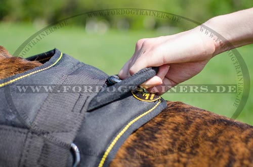 Brustgeschirr Hund wasserdicht für
Deutschen Boxer