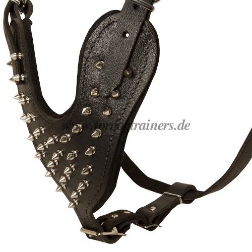 Exklusives Hundegeschirr Leder