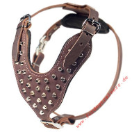 Hundegeschirr Leder mit Pyramiden verziert Braun 20% OFF