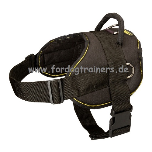 Nylon harness for Amstaff