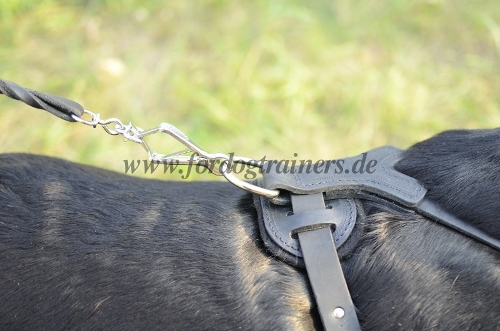 buy padded leather dog harness