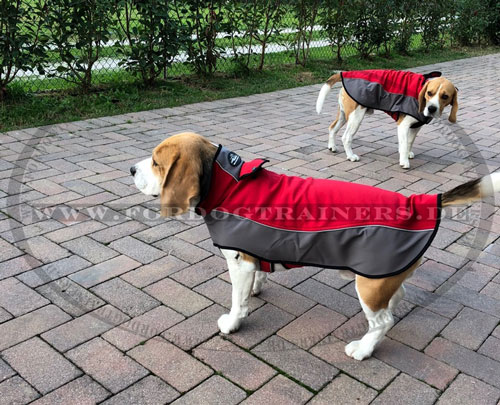 Nylon Mantel für Hunde, robust