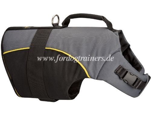 buy dog harness for carrying
comfortable