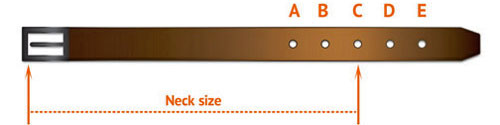 leather dog collar size choice