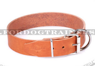 Leder Hundehalsband breit in klassischem Design im Hellbraun Leder Hundehalsband breit in klassischem Design im Hellbraun