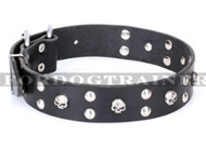 Hundehalsband Leder "Mystic Skulls" FDT Artisan, herrlich