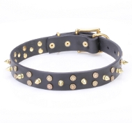 Leather Dog Collar with Stars Spikes