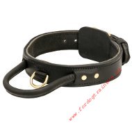 /images/hundehalsband-leder-mit-handschlaufe.jpg