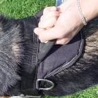 Griff für Hundegeschirr für Sarmatiann Mastiff