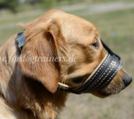 Nappa Maulkorb für Labrador gegen
Bellen