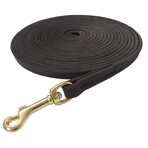 Dog Leash of Leather for Tracking and Training