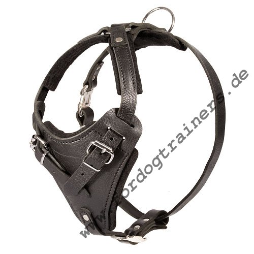 Protection,Attack Leather Dog Harness for Boxer