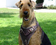 Airedale Terrier Agitation ,Protection Leather Dog Harness