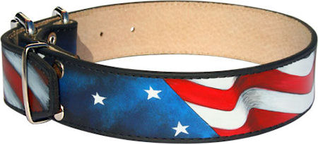 Hundehalsband Leder Bemalt im USA Stil 