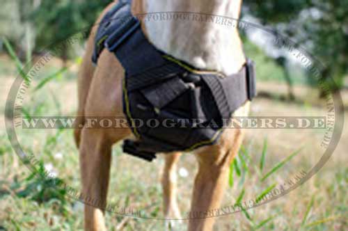 Bestseller Amstaff Geschirr K9 aus Nylon | Sattelgeschirr für Amstaff ❺