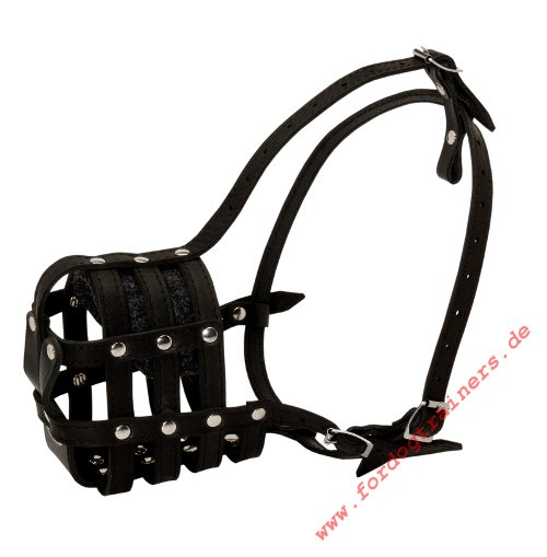 Amstaff Leather Dog Muzzle with Perfect Ventilation