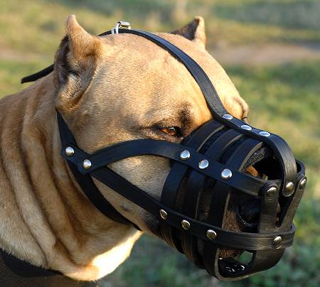 Amstaff Leather Dog Muzzle with Perfect Ventilation