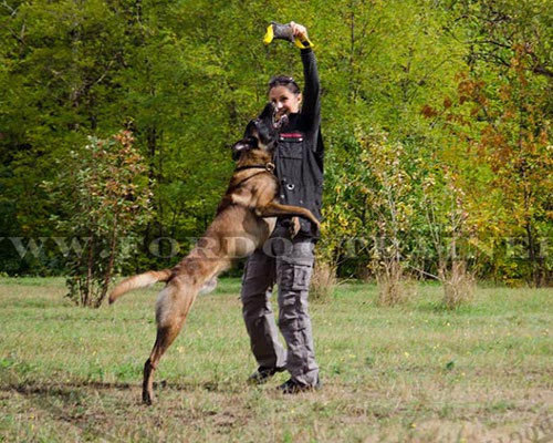 Bestseller Robuste Beisswurst für Schäferhund|Beißkissen für Malinois