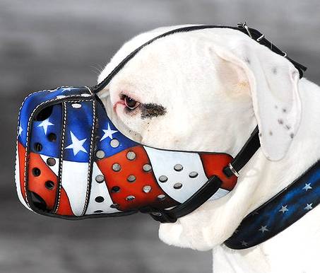 Bulldogge Geschlossener Leder Maulkorb "American Pride" - zum Schließen ins Bild klicken