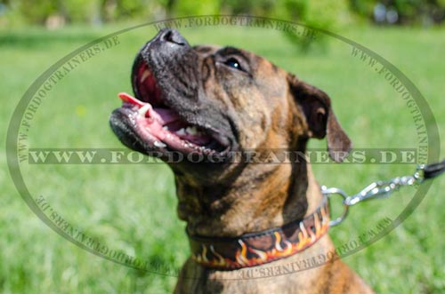 Hundehalsband für Deutschen Boxer handgeschaffen