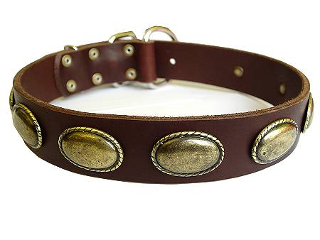 Besonders "Retro" Hundehalsband aus Leder für Deutsche Dogge