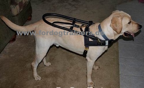 High Quality Assistance Dog Harness | Guide Harness Leather